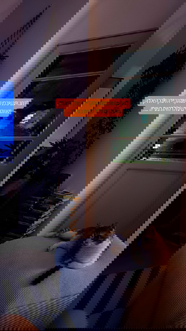 iambohema.v2 iambohema.v2 archive image