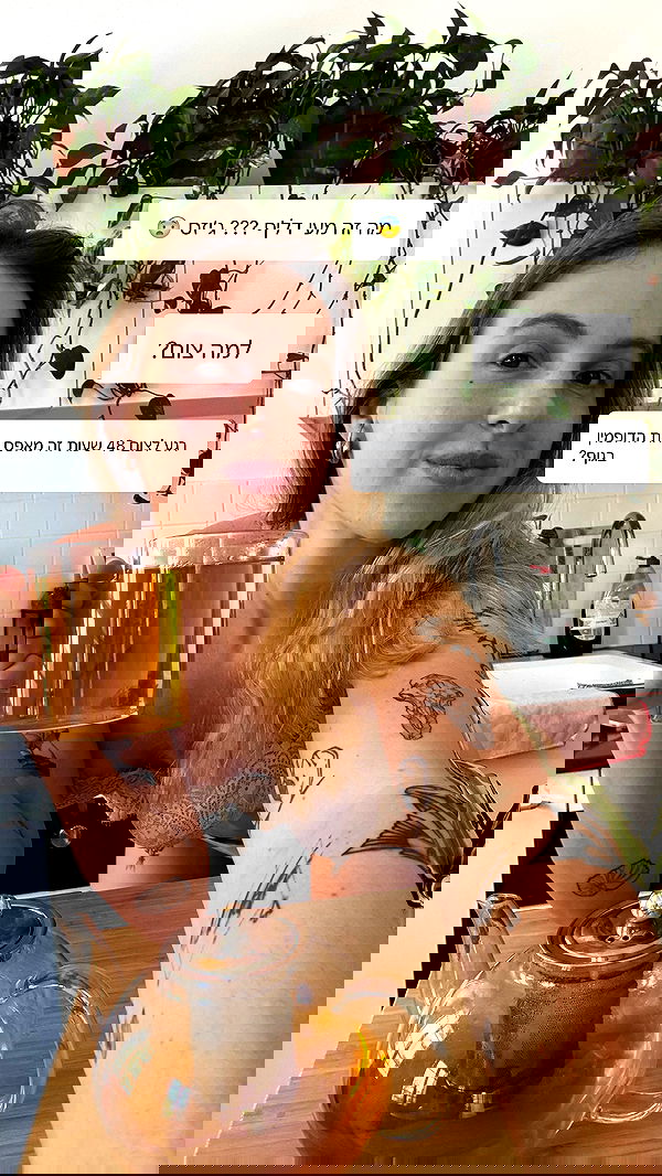 iambohema.v2 iambohema.v2 archive image