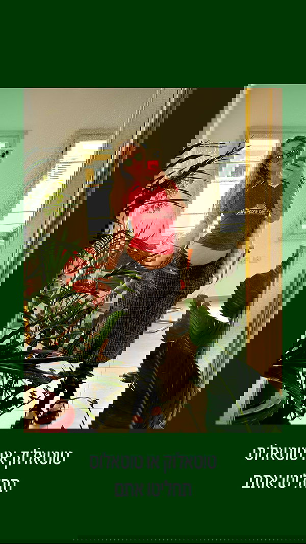 iambohema.v2 iambohema.v2 archive image