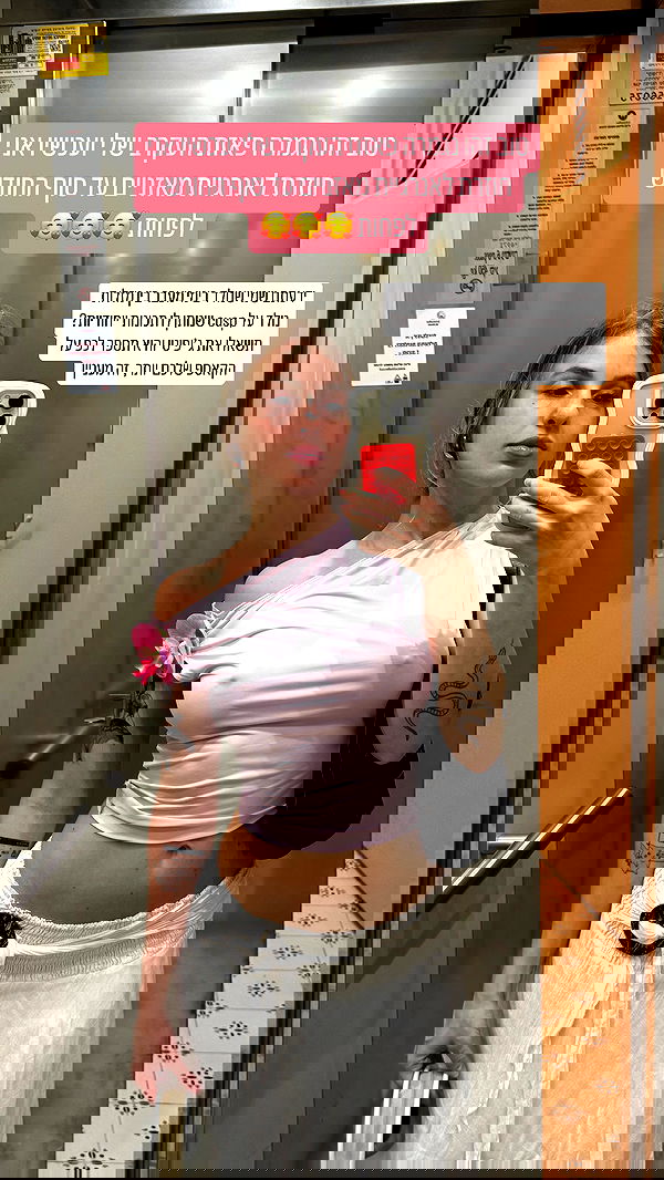 iambohema.v2 iambohema.v2 archive image