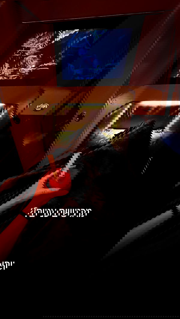 iambohema.v2 iambohema.v2 archive image