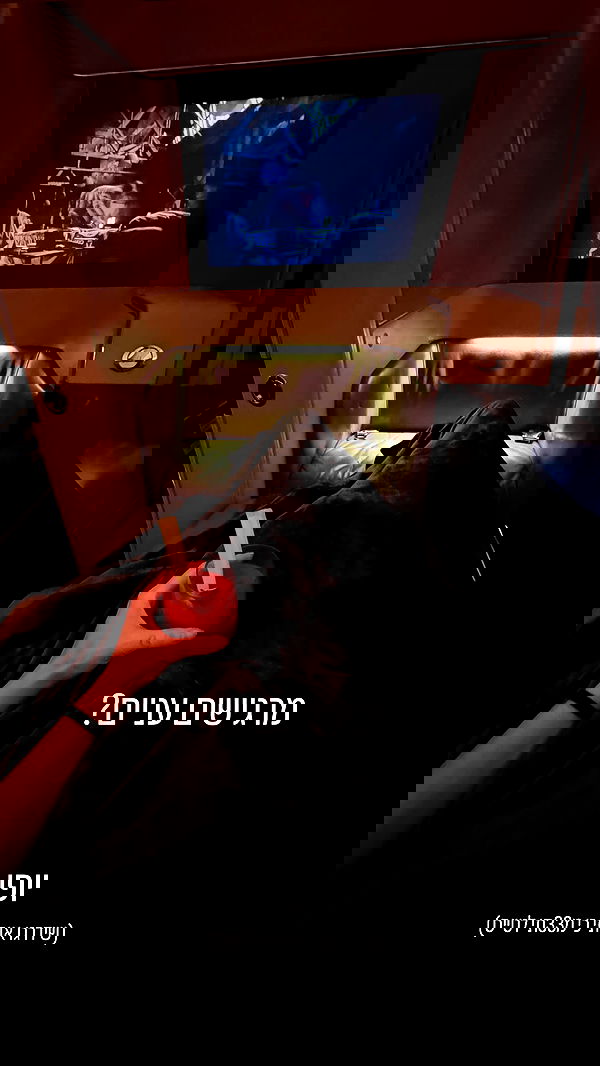 iambohema.v2 iambohema.v2 archive image