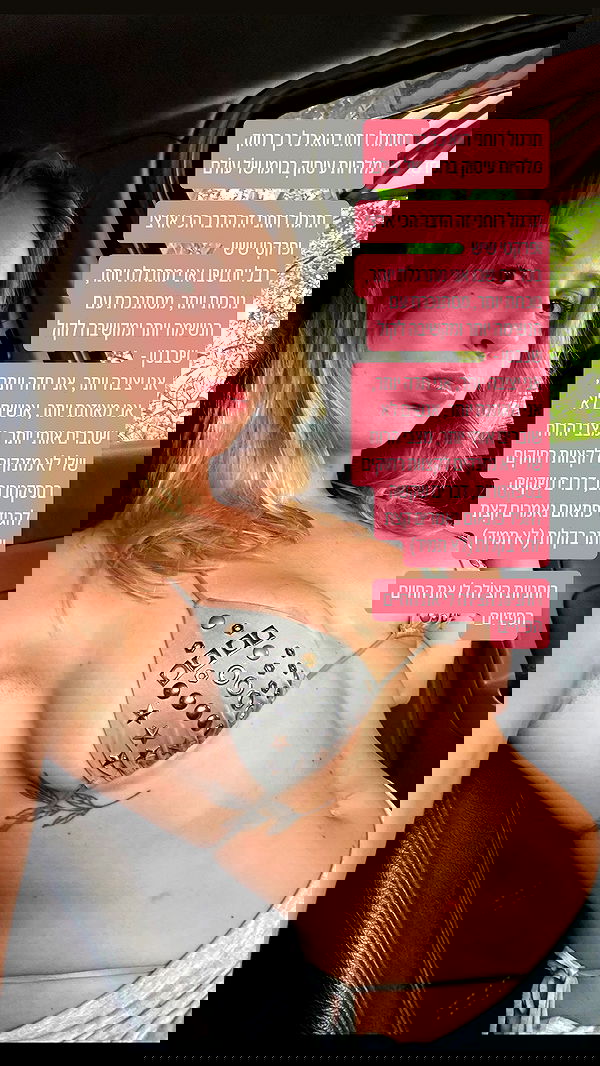 iambohema.v2 iambohema.v2 archive image