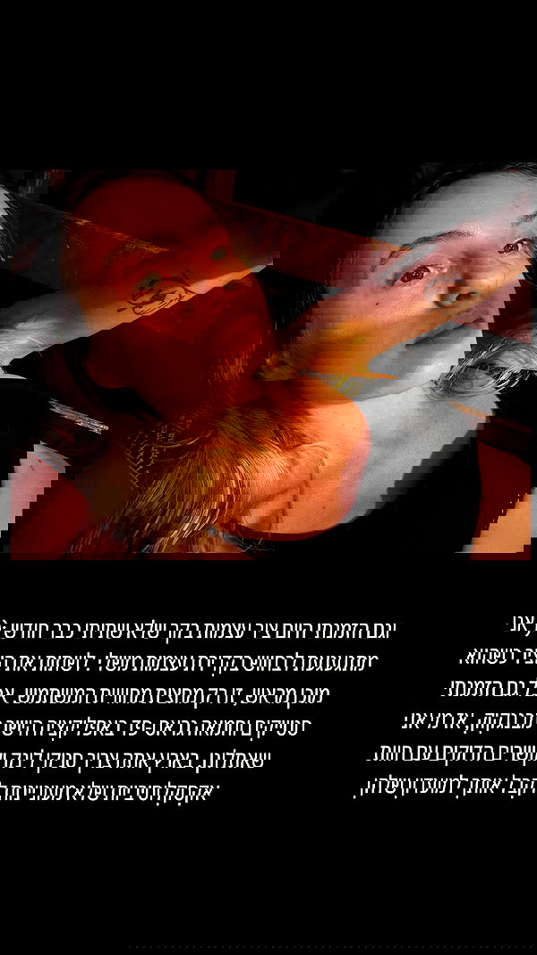 iambohema.v2 iambohema.v2 archive image