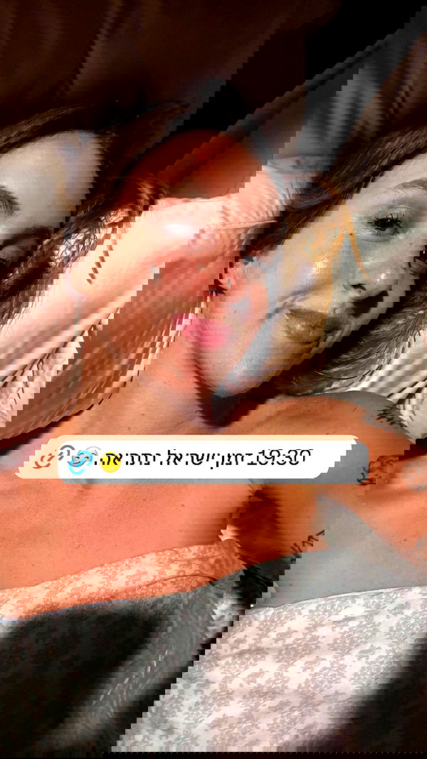 iambohema.v2 iambohema.v2 archive image