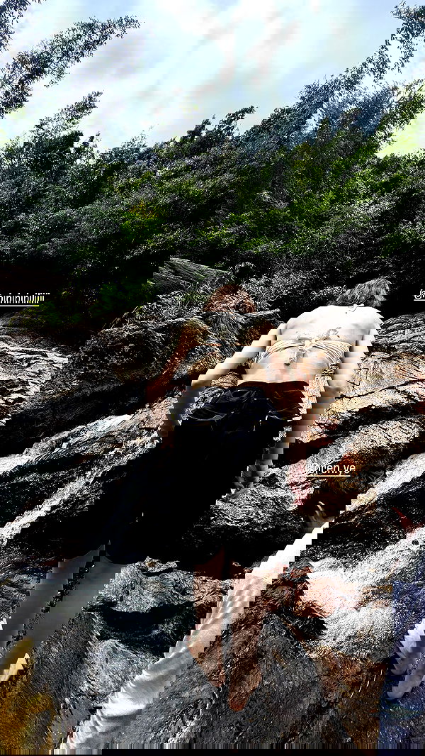 iambohema.v2 iambohema.v2 archive image