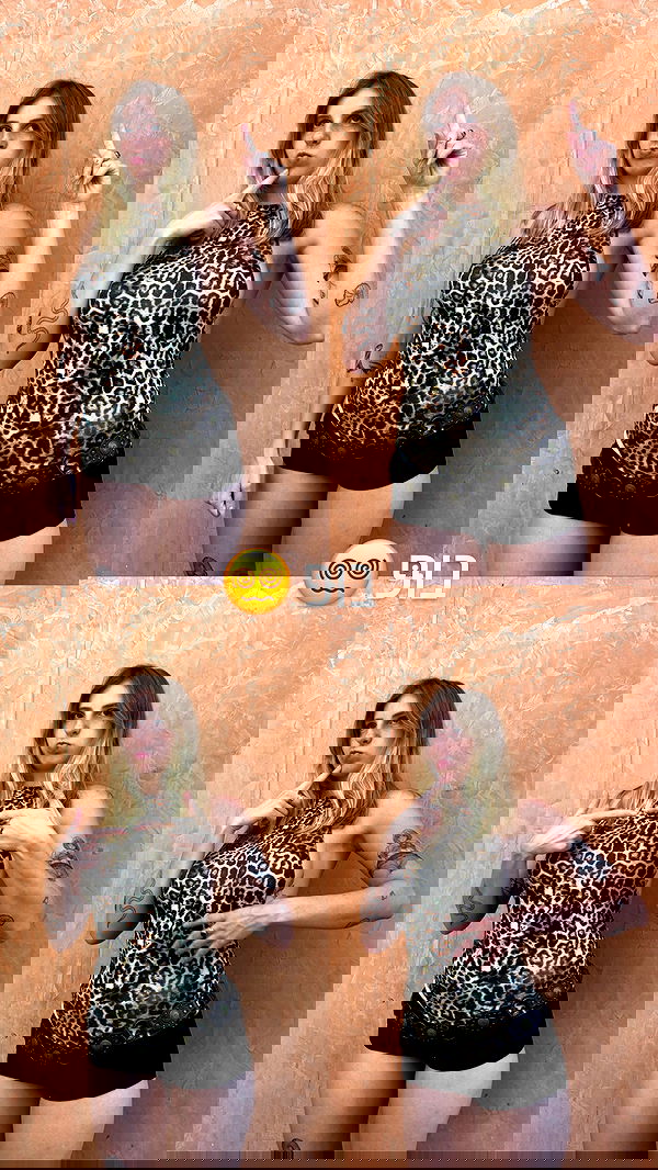 iambohema.v2 iambohema.v2 archive image