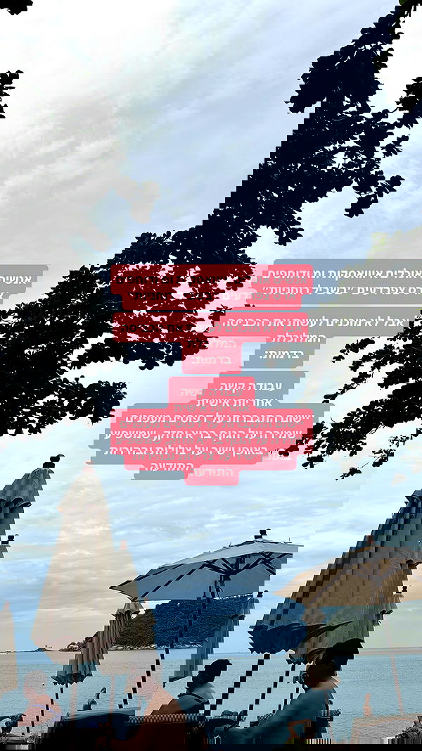 iambohema.v2 iambohema.v2 archive image