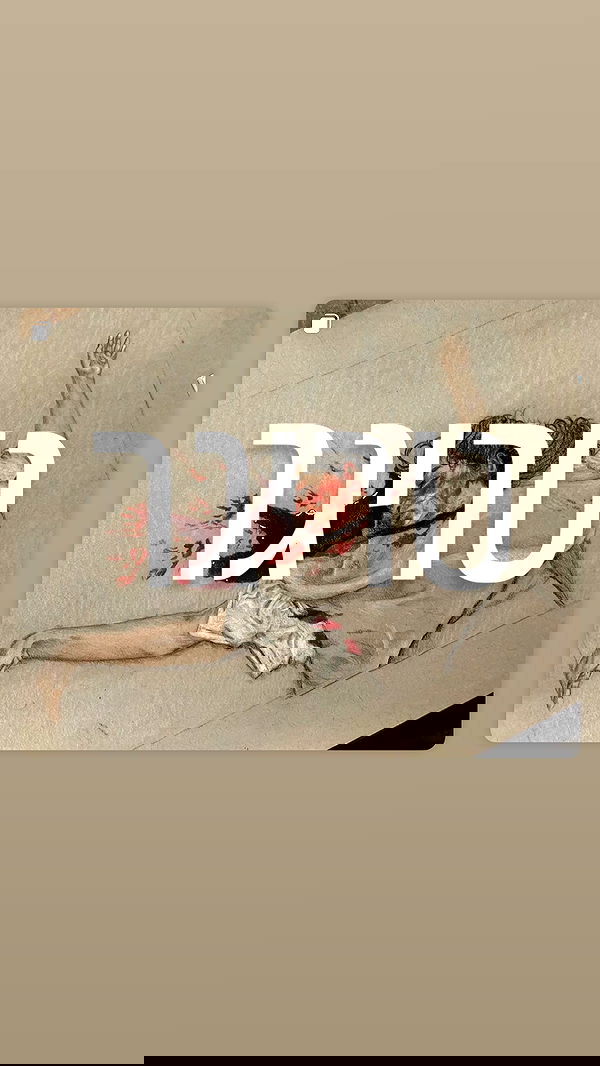 iambohema.v2 iambohema.v2 archive image