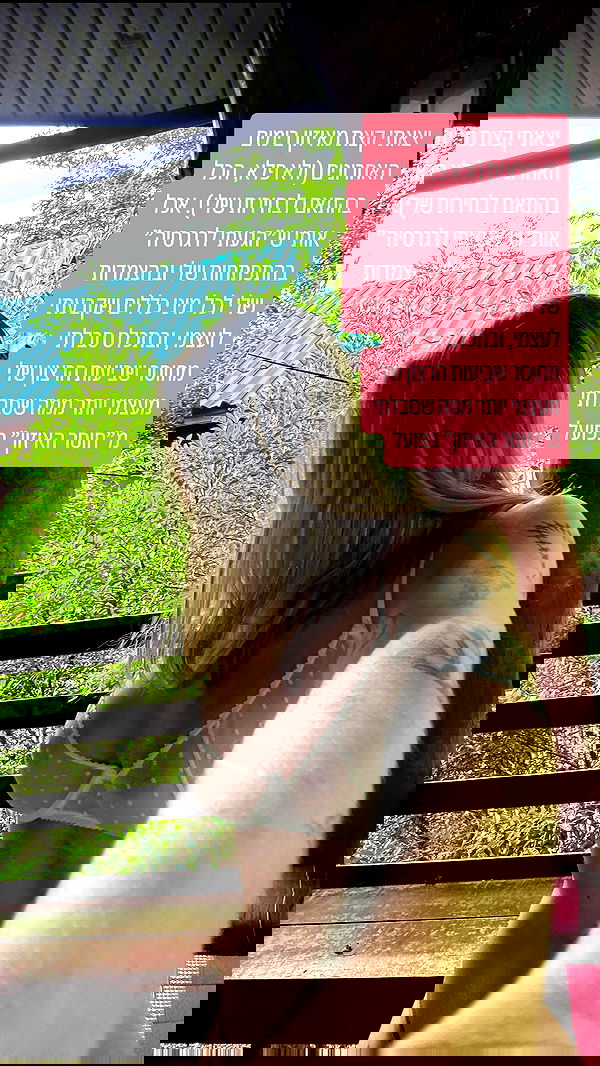 iambohema.v2 iambohema.v2 archive image