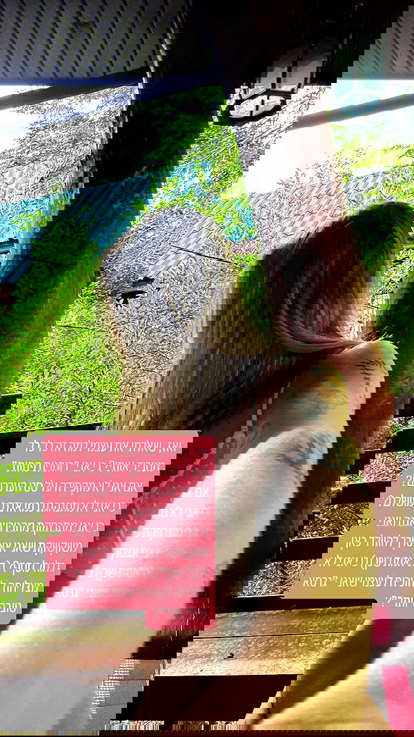 iambohema.v2 iambohema.v2 archive image