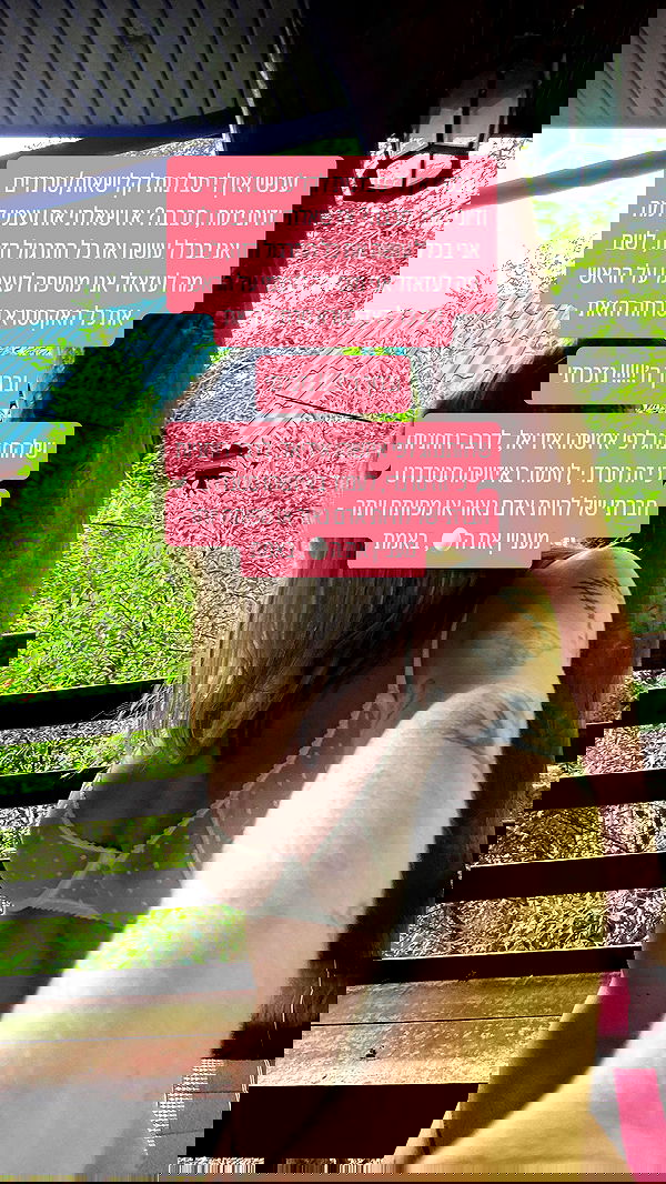 iambohema.v2 iambohema.v2 archive image