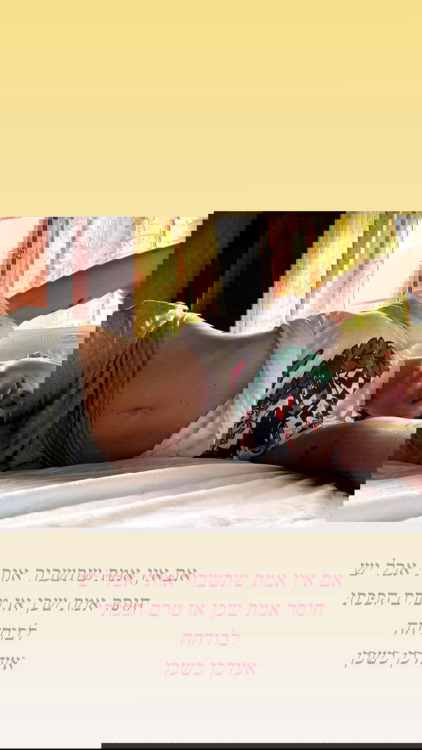 iambohema.v2 iambohema.v2 archive image