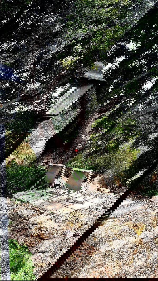 iambohema.v2 iambohema.v2 archive image