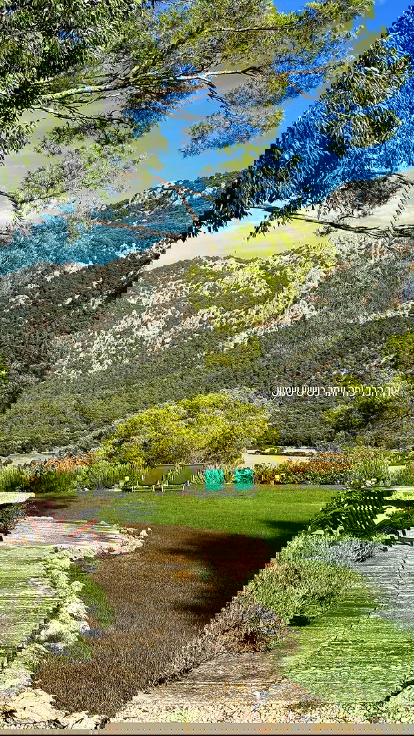 iambohema.v2 iambohema.v2 archive image