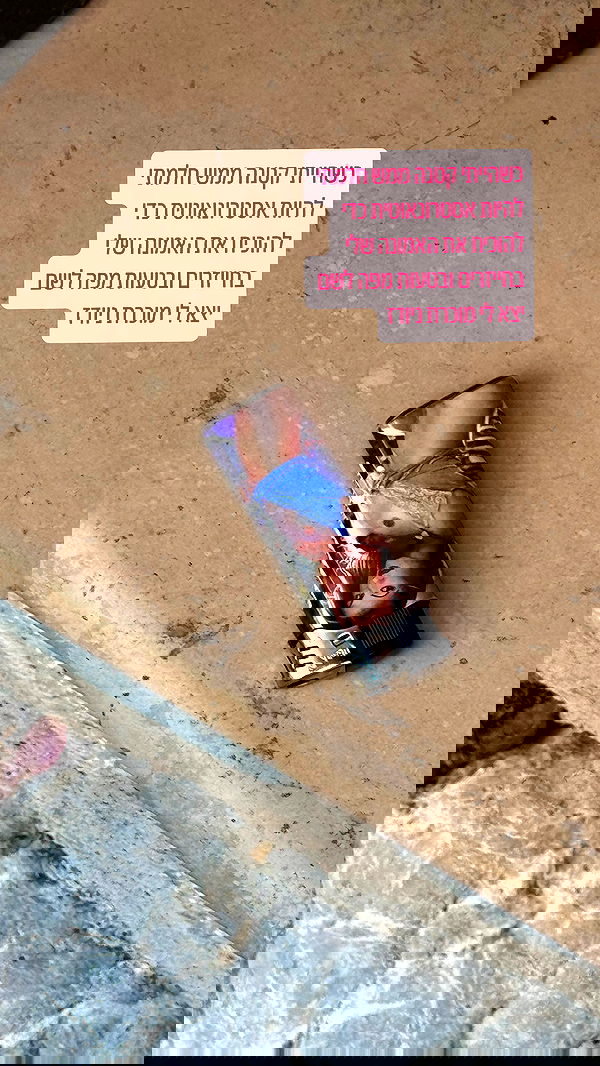 iambohema.v2 iambohema.v2 archive image