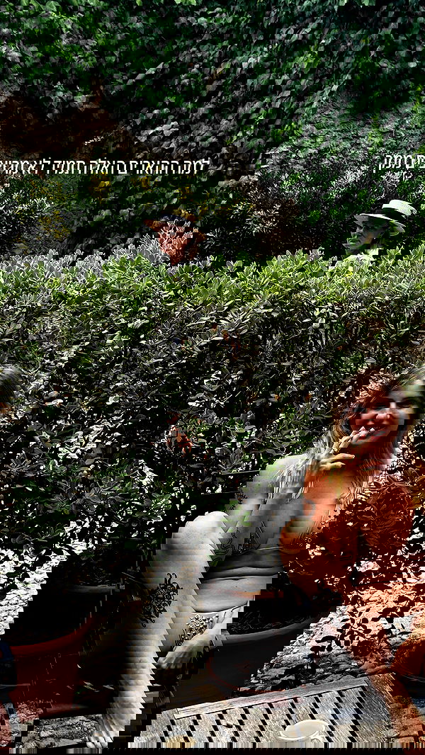 iambohema.v2 iambohema.v2 archive image