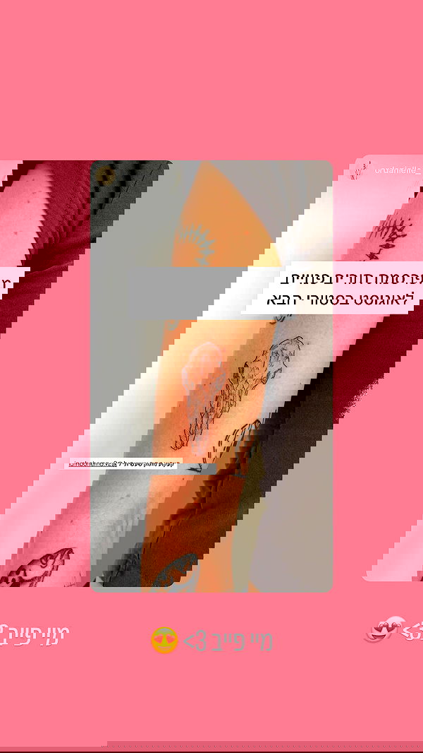 iambohema.v2 iambohema.v2 archive image