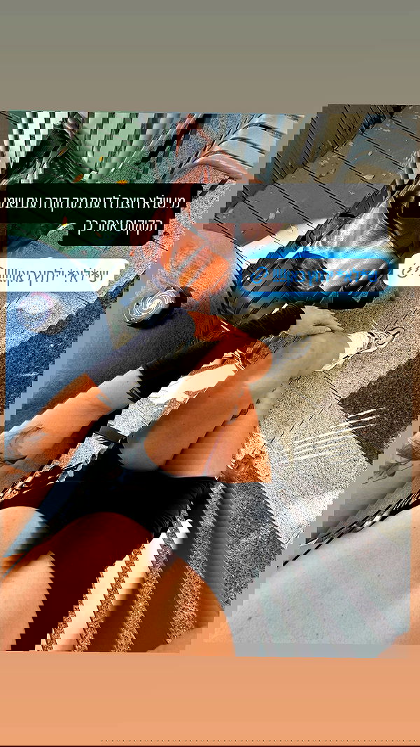 iambohema.v2 iambohema.v2 archive image