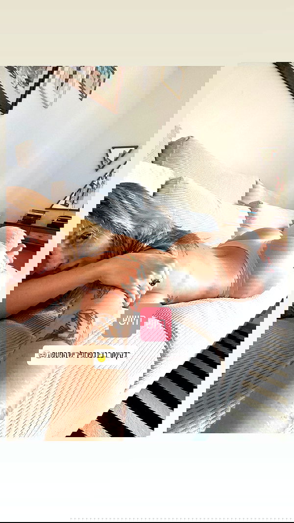 iambohema.v2 iambohema.v2 archive image