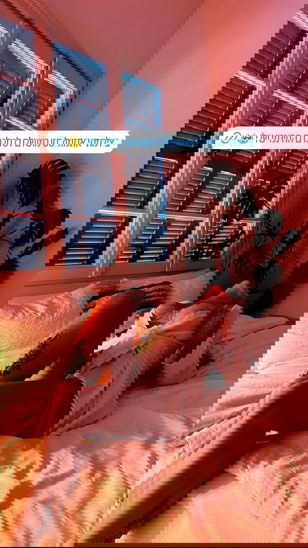 iambohema.v2 iambohema.v2 archive image