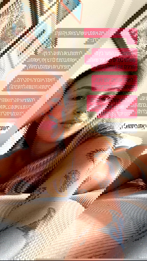 iambohema.v2 iambohema.v2 archive image