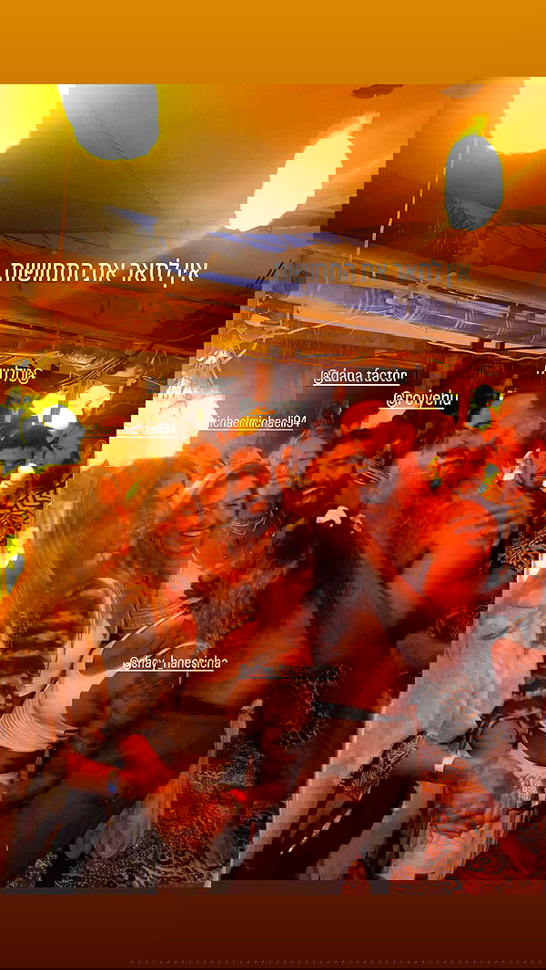 iambohema.v2 iambohema.v2 archive image