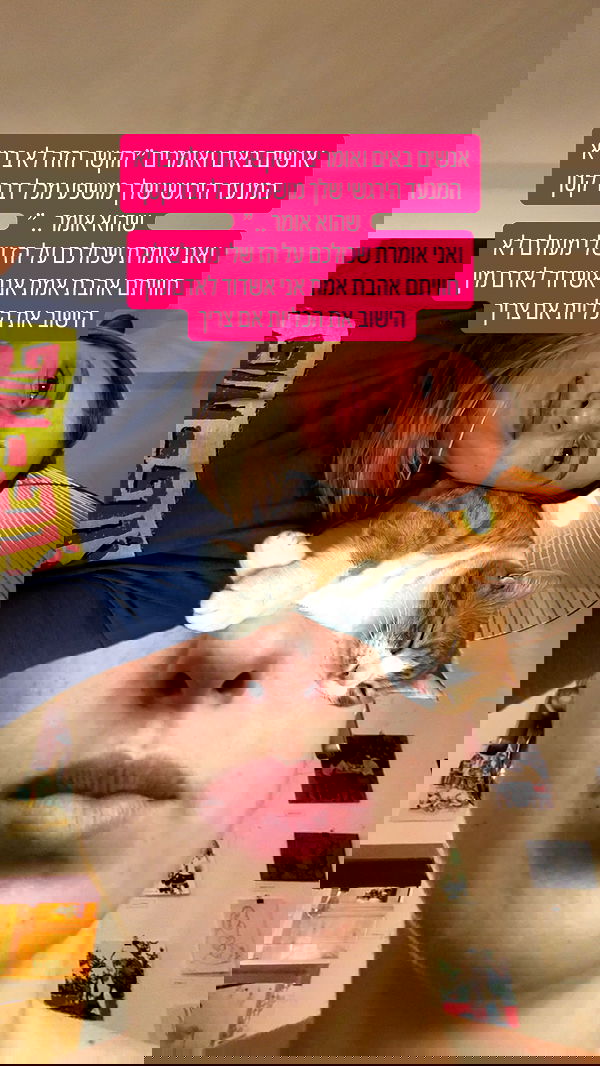 iambohema.v2 iambohema.v2 archive image