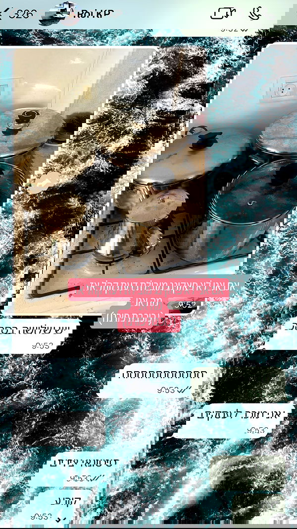 iambohema.v2 iambohema.v2 archive image