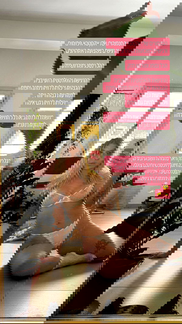 iambohema.v2 iambohema.v2 archive image