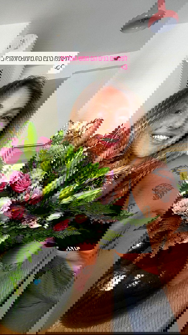 iambohema.v2 iambohema.v2 archive image