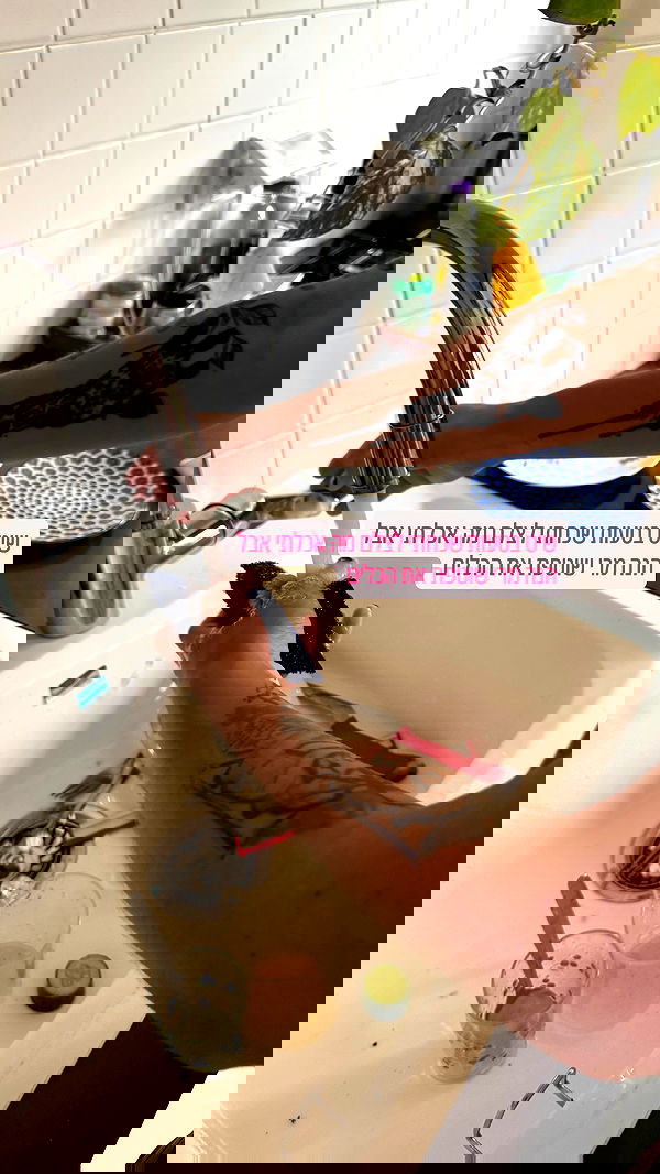 iambohema.v2 iambohema.v2 archive image