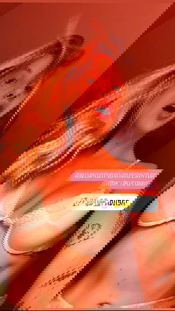 iambohema.v2 iambohema.v2 archive image