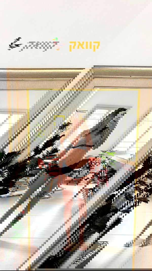 iambohema.v2 iambohema.v2 archive image