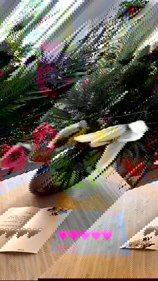 iambohema.v2 iambohema.v2 archive image