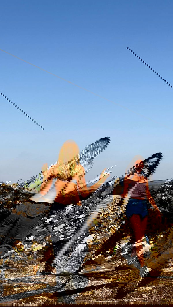 iambohema.v2 iambohema.v2 archive image