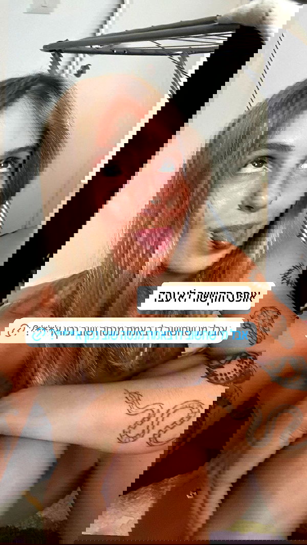 iambohema.v2 iambohema.v2 archive image