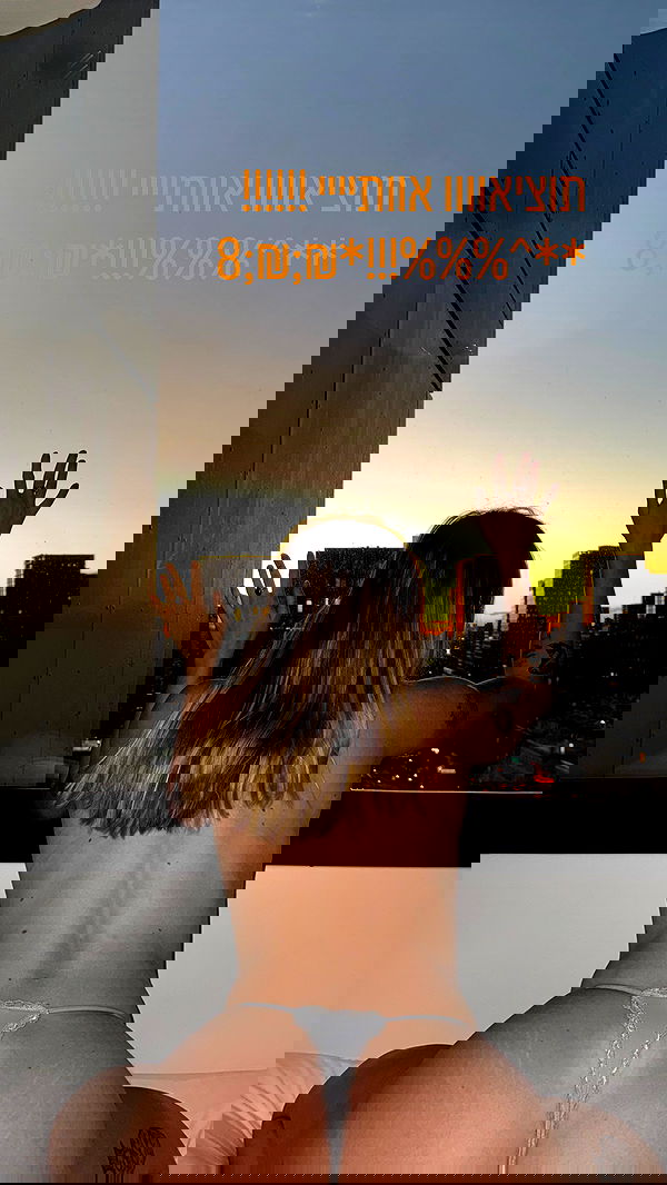 iambohema.v2 iambohema.v2 archive image