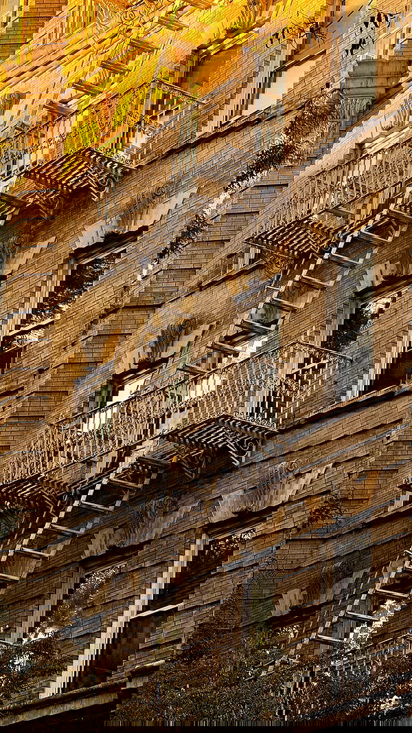 iambohema.v2 iambohema.v2 archive image