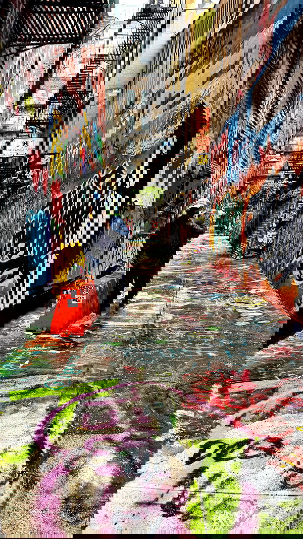 iambohema.v2 iambohema.v2 archive image