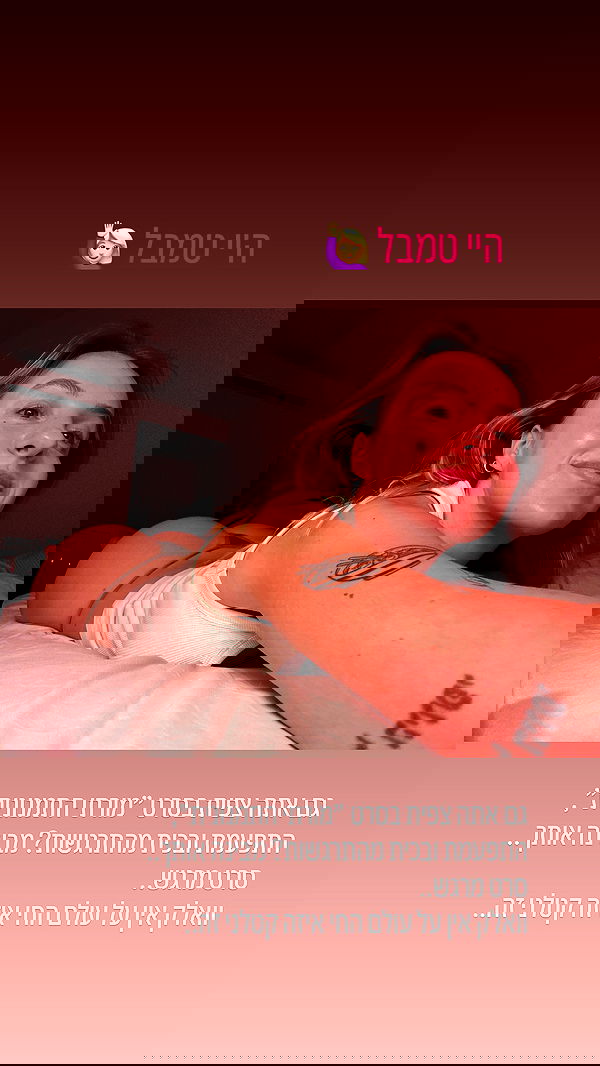 iambohema.v2 iambohema.v2 archive image