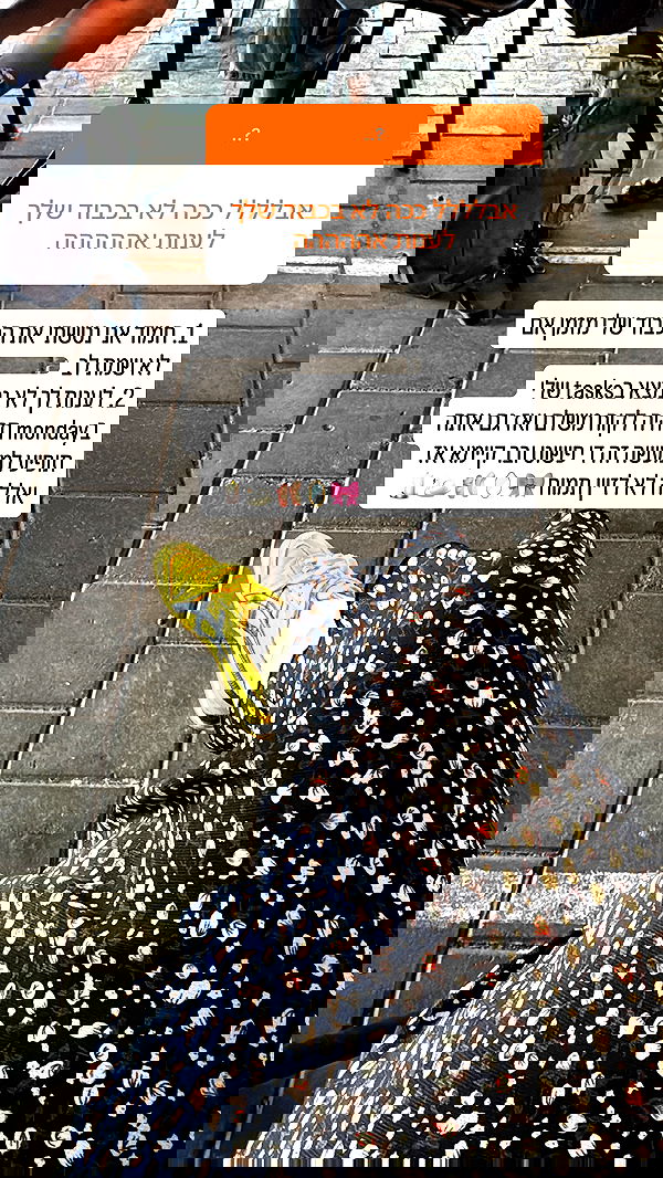 iambohema.v2 iambohema.v2 archive image