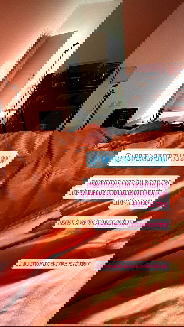 iambohema.v2 iambohema.v2 archive image