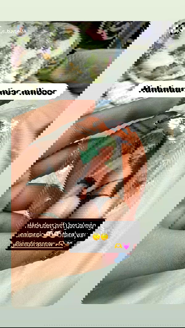 iamdorasnow iamdorasnow archive image