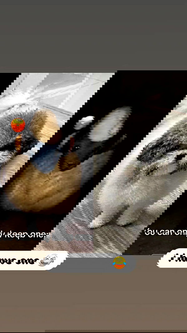 iamdorasnow iamdorasnow archive image