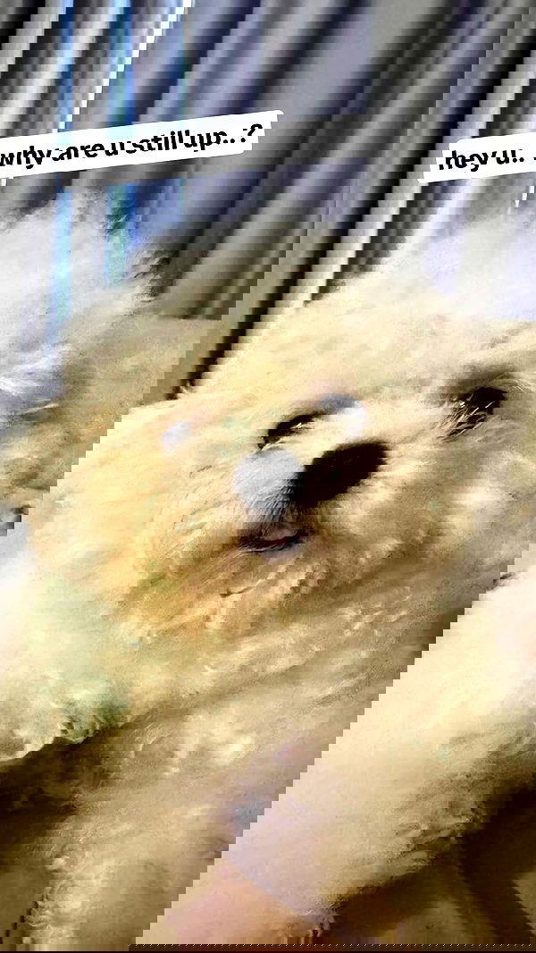 iamdorasnow iamdorasnow archive image