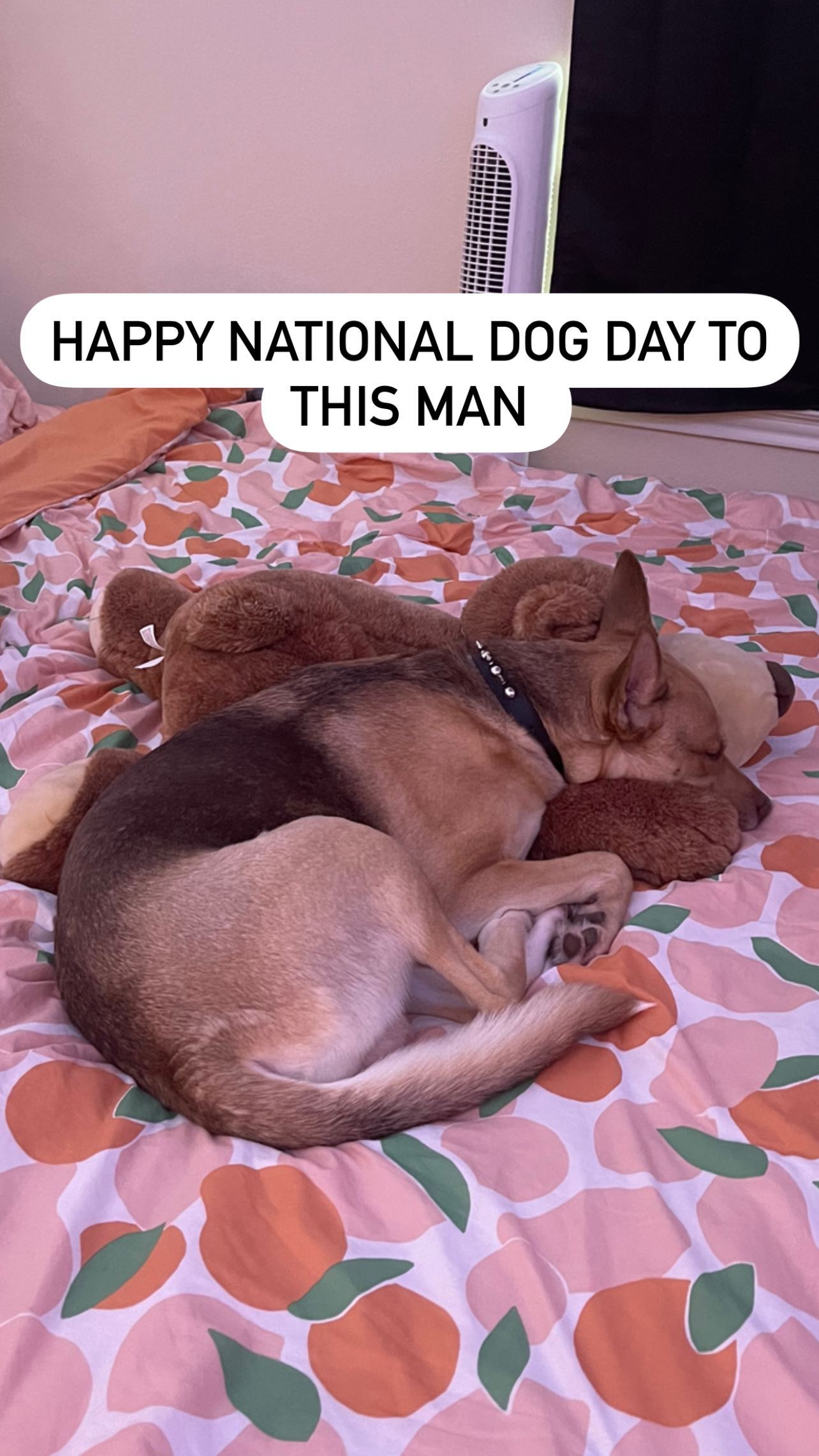 iamm3dusa instagram image archive image