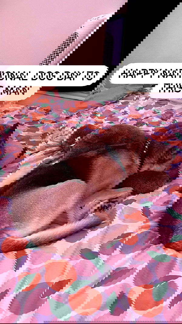 iamm3dusa image ~ Altpins