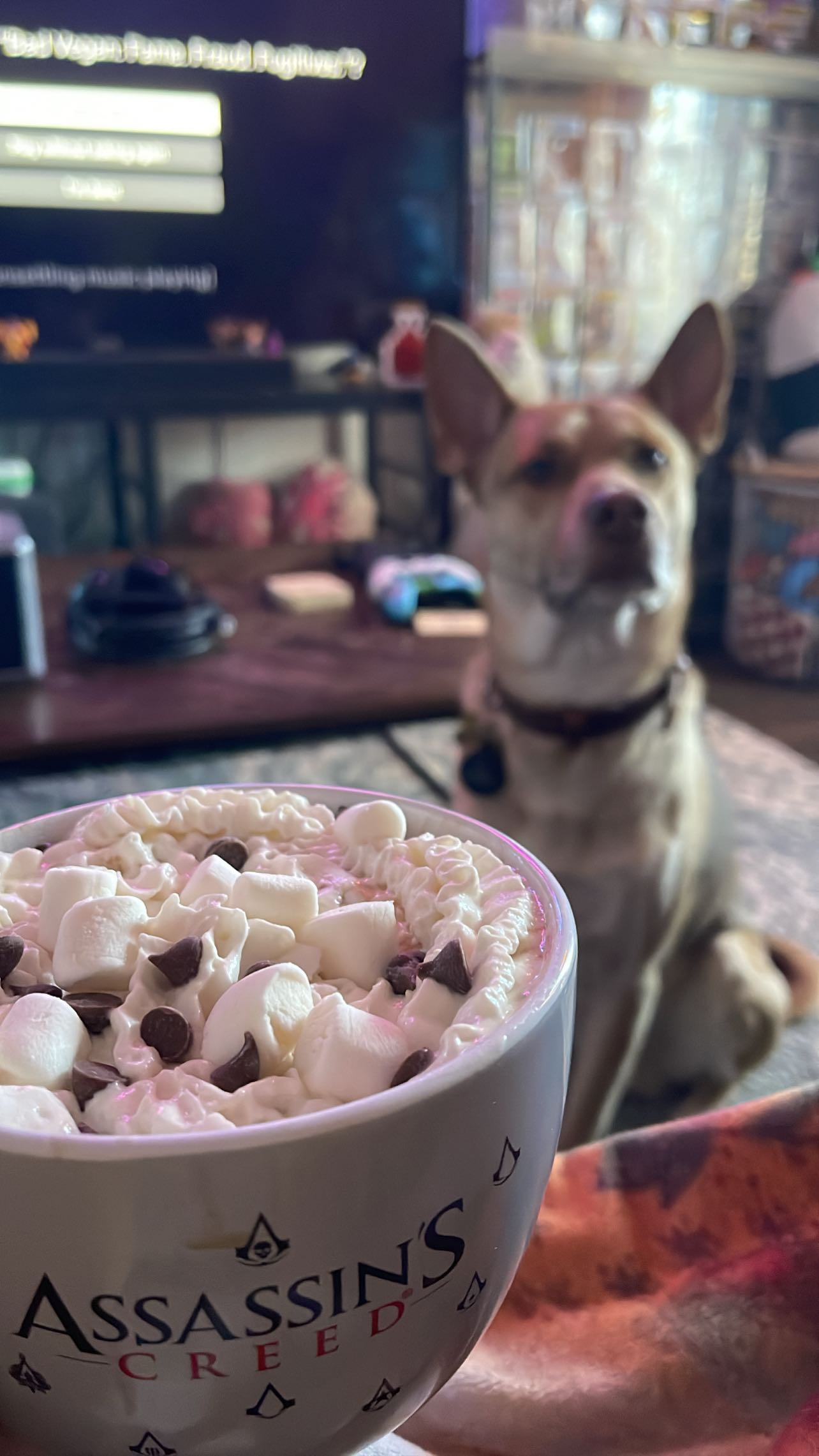 iamm3dusa instagram image archive image