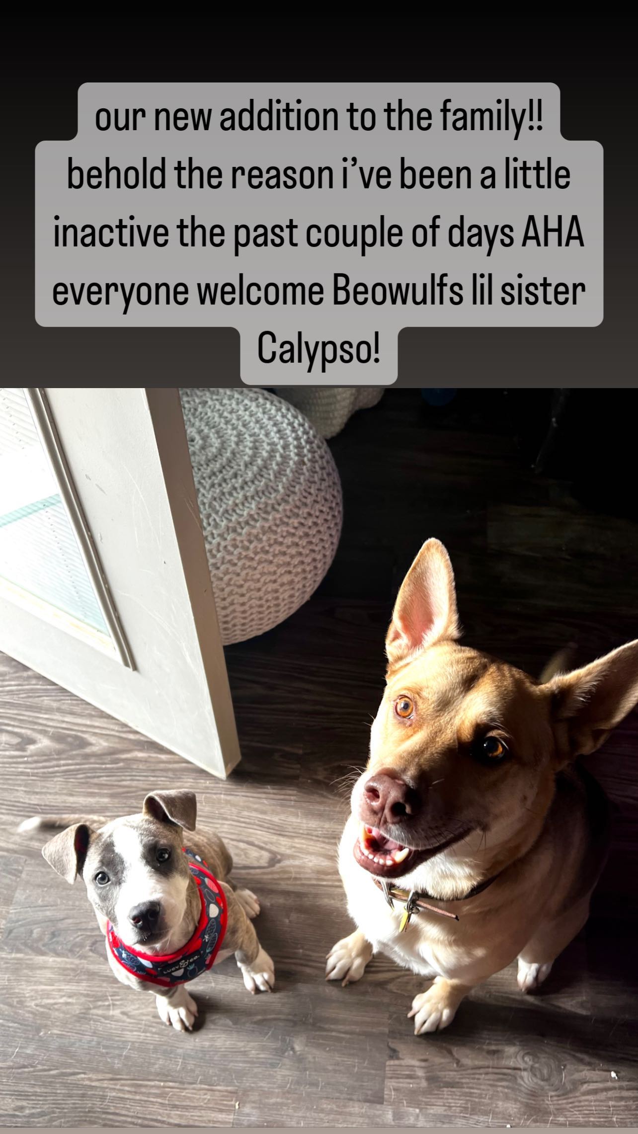 iamm3dusa instagram image archive image